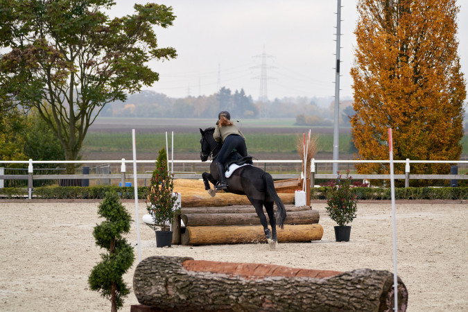 Reiterin mit dunklem Pferd von hinten im Sprung  über einem Geländehindernis